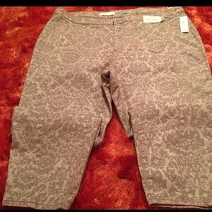 Anthropologie 26W
Pilcro 
High Rise Denim
Pockets